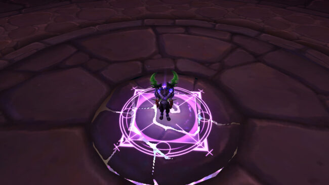 WoW the night elf is standing on the portal